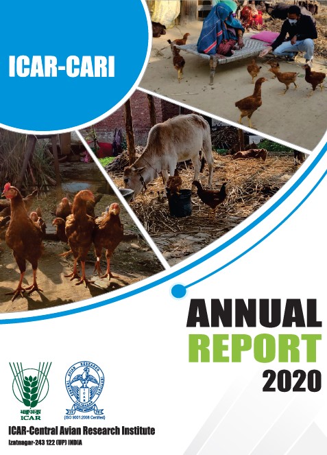 Annual Report 2020